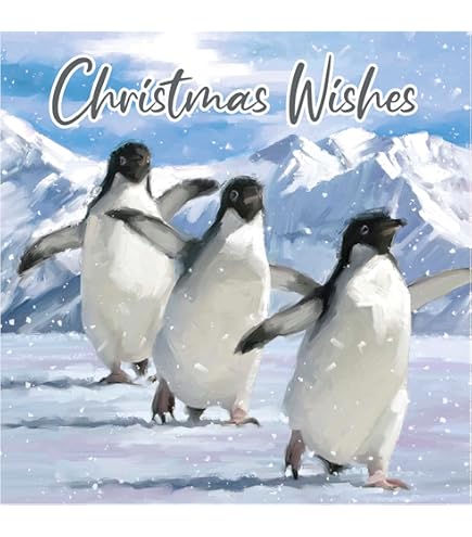 Eurowrap Seasons Greetings Robin Christmas Card (Pack Of