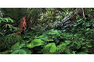 MIRRORANG 61x41cm Fond de Terrarium de forêt Tropicale Fond d'aquarium de forêt Profonde Plantes Tropicales Fond d'habitat de Reptiles Fond de Vinyle Durable