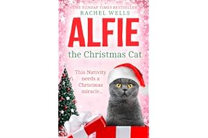Alfie the Christmas Cat: An uplifting festive treat from the Sunday Times bestseller: Book 7 (Alfie series)
