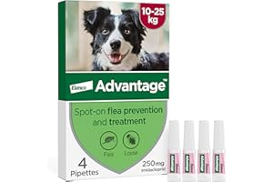 Advantage Spot On Flea Treatment For Large Dogs 10 - 25kg (4 pipettes, 250mg), Kills Fleas Within 24 Hours, Prevents Further Infestation For Up To Four Weeks