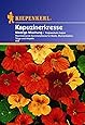 Kiepenkerl, Kapuzinerkresse, Tropaeolum majus Niedrige Mix