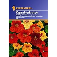 Kiepenkerl, Kapuzinerkresse, Tropaeolum majus Niedrige Mix