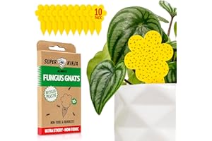 Super Ninja Fungus Gnat Killer - 10 Pack, Effective Gnat Killer for Indoor Plants, Non-Toxic & Nature-Friendly, Safe for Kids & Pets Yellow Sticky Fly Traps, Lasts Up to 3 Months