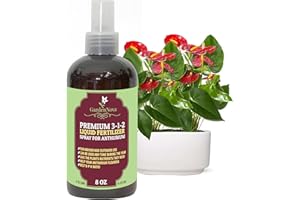 GardenNova Proffesional ANTHURIUM Spray Fertilizer Mist for Home Gardening | 3-1-2 Gentle Blend Mist for Healthy Leaves & Growth | Essential Nutrients for ANTHRIUM - 8oz