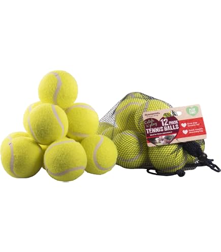 SHYUJAJIE Lot 20 Balles De Tennis Entraînement – Haute élasticité – Sac Filet Inclus – Pour Débutants, Chiens, Massage