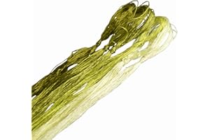 ‎MINGGUXIUYI MINGGUXIUYI 6 Farben reine Maulbeerseide à 22 m, edles Seidengarn für feine Handarbeiten und Kunststickerei (21)