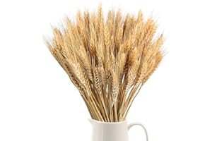 SLFYEE 100pcs Flores de Trigo Seco Ramo de Hierb Ramo de Hierba de Trigo Naturalmente Flores Secas Naturales para C himenea Hogar Cocina, Mesa de Iglesia Boda