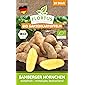 FLORTUS 2000-0444 BIO Gartenkartoffeln Bamberger Hörnchen 10 Stück I Festkochend, mittelfrüh – mittelspät I Kartoffeln…