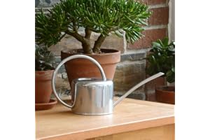 CKB LTD® - Regadera de interior (1,1 L, acero galvanizado, revestimiento en polvo de tiza, para plantas de interior, diseño de metal contemporáneo con boquilla estrecha y mango alto), plata