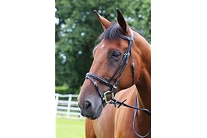 Gallop Leather Padded Bridle with FREE Rubber Reins Black or Brown
