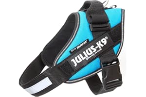 Julius-K9, Arnés IDC Power, Tamaño: M / 0, Aguamarina