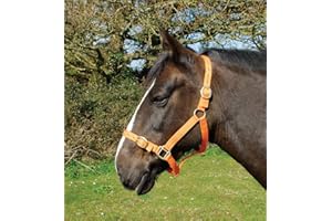 Rhinegold Licol en Nylon