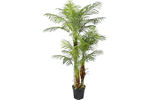 ARNUSA Palmera Artificial 180 cm. Deluxe KP 103. Planta Artificial con 26 Plumones de Palmera