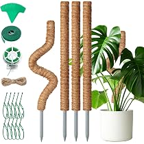 Supporti Per Piante Da Interno UKCOCO - 5 Pezzi In Plastica Resistente, Alti 40 Cm, Per Piante Rampicanti