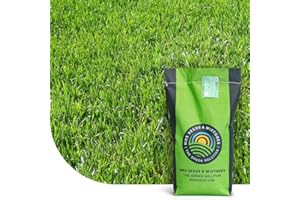 MRS SEEDS & MIXTURES Turbo Green: Semence Gazon Regarnissage | 15 kg - 750 m² | Germination rapide | Gazon dense et bien vert | Grande tolérance au piétinement