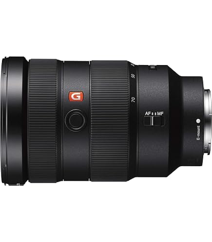Sony - Lente de Zoom estándar FE 24-105mm F4 G OSS (SEL24105G