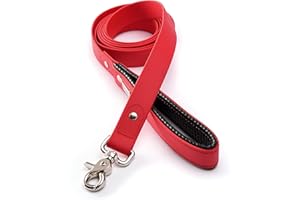 PetTec Guinzaglio per Cani - Guinzaglio Addestramento con Impugnatura Imbottita, Materiale Trioflex a 3 Strati Intrecciati, Impermeabile - Moschettone e Gancio in Acciaio Inossidabile - 2m, Rosso