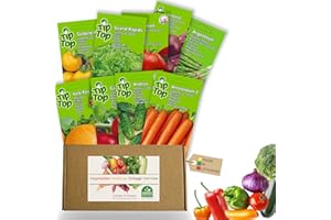 NOJAUS SĖKLOS Nojus Set di semi di ortaggi premium - 16 confezioni di semi di ortaggi - Kit di avviamento per semi di piante varie - Semi da giardino Piante Biologici - Scatola di semi di ortaggi 16 varietà