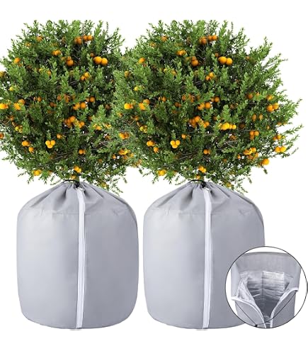 Housse Hivernale XXXL Non-Tissé Méditerranéen Extreme - H 300-340 Cm Diam 250 Cm - Protection Plantes Palmier Olivier