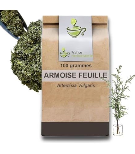 Infusion Artemisia Annua (armoise Annuelle) 35g - Récolte 2025, Qualité Premium, Neuf