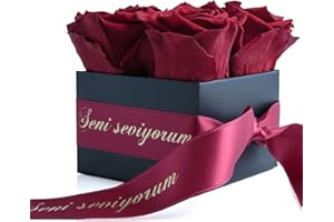 ROSEMARIE SCHULZ Heidelberg Seni Seviyorum Freundinnen Geschenk - Infinity Rosenbox 4 echte Blaue Rosen haltbar 3 Jahre 8,5 x 8,5 cm - Valentinstag Frau Geschenk (Seni Seviyorum, Dunkelrot)