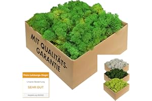 GJS Islandmoos - echtes konserviertes Moos in 200g/500g/1kg/4kg für Moosbilder, als Deko oder zum Basteln (laubgrün, 200g)