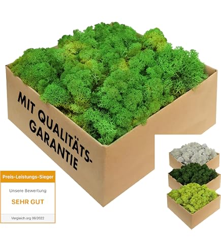 IJslands Mos – 100 G – Bosgroen – Echoot Natuurlijk – Geconserveerd – Zacht – Onderhoudsvrij – Voor Moskunst, Terraria, Modelbouw En Decoratie