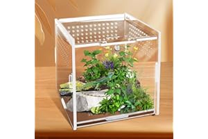 QESSUVNC Jumping Spider Enclosure, 10 × 10 × 10 Cm Stick Insect Enclosure, Acrylic Transparent Insect Terrarium for Praying Mantis, Spiders, Frog, Snails