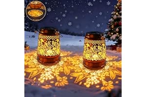 Joycome Lot de 2 lanternes solaires d'extérieur à LED en forme de colibri pour extérieur et jardin, en métal, résistantes aux intempéries, décoration de balcon, lampes solaires, cadeaux pour terrasse