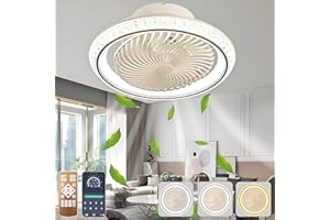 AJZXQM 75W Ventilateur de Plafond Silencieux Avec Lumière et Télécommande, Plafonnier LED Rotation 360°, Lustre Réversible, 6 Vitesses Luminaire Ventilateur Plafonnier pour Chambre, Salon, Noir