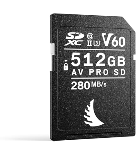 ANGELBIRD AV Pro 256GB CFAST 2.0 ARRI Certified : Amazon.es