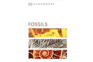 Fossils (DK Handbooks)