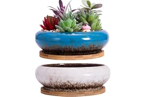 ARTKETTY Doniczki na sukulenty, duże doniczki na sukulenty z drenażem, zestaw 2 sztuk, płytkie doniczki bonsai z tacami, pojemnik na kwiaty, miska ceramiczne, do wnętrz, na zewnątrz, kaktusy