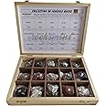 Rocksmins IR15WB-SC Collection Set of 15 Igneous Rocks in a Beautiful Wooden Box Big Specimens for Students of School College Education Igneous samples collections introductory activity volcanic rock