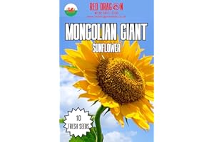 RED DRAGON SEEDS Mongolian Giant Sunflower Seeds - 10 Fresh Giant Mongolian Sunflower Seeds