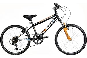 Dallingridge Brave Junior Hardtail Mountain Bike, 20" Wheel - Black/Orange