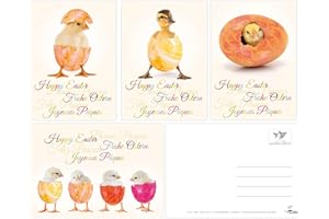‎EDITION COLIBRI Edition Colibri Lustiges Osterkarten-Set mit 12 Osterpostkarten (4 Motive mit je 3 St.), liebevoll gestaltet witzige Grusskarten zu Ostern (11065-11068)