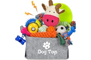 LECHONG Paquete de 21 juguetes de iniciación para cachorros, juguetes masticables enriquecidos con caja de juguetes para perros, juguetes de dentición para cachorros de 8 semanas a 12 semanas para