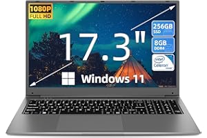 SGIN Ordenador portátil de 17,3 pulgadas, 8 GB de RAM, 256 GB SSD portátil, Celeron Dual Core, Up to 2,8 GHz, FHD, 2.4/5.0G WiFi Bluetooth 4.2, memoria ampliable 512 GB TF