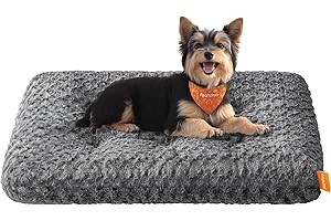 Feandrea Panier pour Chien, Taille M, pour Petits Chiens, Lit pour Animaux, Tissu Peluche, 80 x 50 cm, Rembourrage Doux, Lavable, Antidérapant, Gris Ardoise PGW291GN01