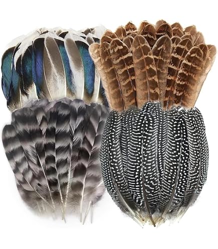 Lot De 40 Plumes De Faisan Naturelles - 4 Styles Pour Déco Et Artisanat