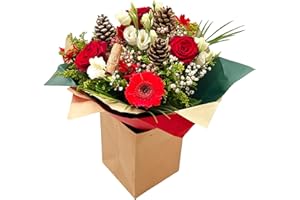 MORNING FLOWERS Christmas Arrangement Red Roses, Gerbera, Pine Cones, White Blooms and Greenery, Winter Floral Gift Bouquet, Seasonal Fresh for Holiday, House Decoration