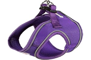 Doodlebone Snappy Harness, Violet, 4