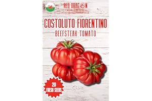 RED DRAGON SEEDS Costoluto Fiorentino Tomato Seeds - 20 Fresh Costoluto Fiorentino Tomato Seeds