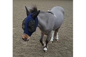 Ruggles Shetland Miniature Section A Pull On Fly Mask With Ears | Stretch Lycra | Horse & Pony Eye Protection | Standard Shetland & X-Mini Sizes (Navy, Std Shet)
