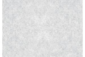 ‎D-C-FIX d-c-fix Fensterfolie Reispapier - 45 cm x 2 m – selbstklebende Sichtschutzfolie mit modernem Muster für Glasflächen – selbsthaftend, blickdicht, dekorativ