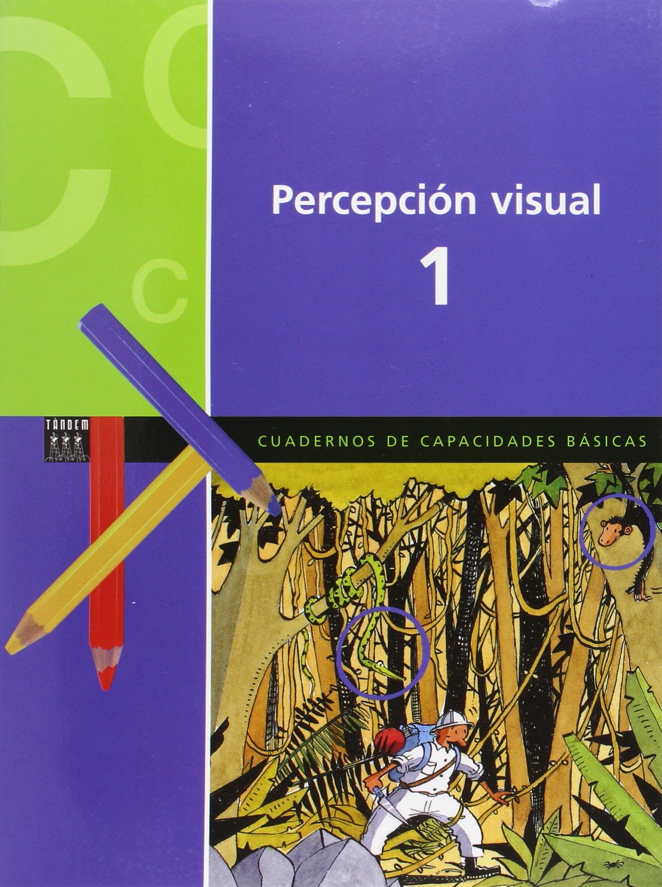 Percepción visual 1
