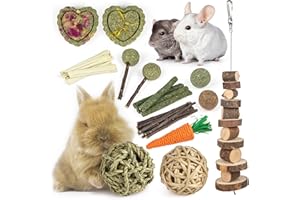 Labeol 27 PCS Rabbit Toys Set for Teeth Care and Exercise, Natural Wooden Treats for Hamster Guinea Pig Rabbit Rat Chinchilla and Gerbils, Boredom Breaker Accessories for Small Animals