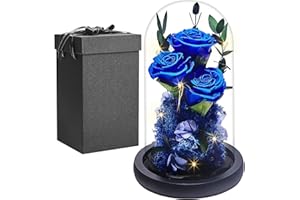 ‎PISKEKAT Echte Ewige Rose im Glas Kuppel, Frauen Geschenk Geburtstag, Die Schöne Und Das Biest Konservierte Rosen Blumen LED Licht, Muttertag Valentinstag Hochzeitstag Geschenk für Mama Freundin Ehefrau Oma