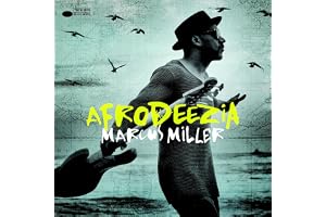 Afrodeezia